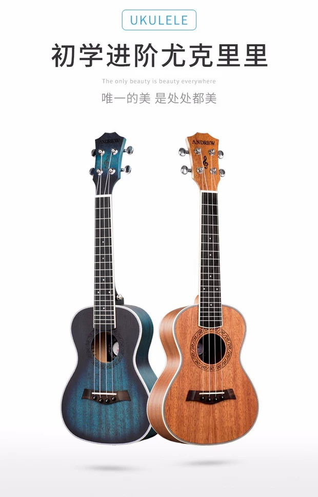 Andrew ANDREW ukulele 23 inch uklele 26 inch guitar nhỏ cho người mới bắt đầu chơi nhạc cụ ukulele - Nhạc cụ phương Tây