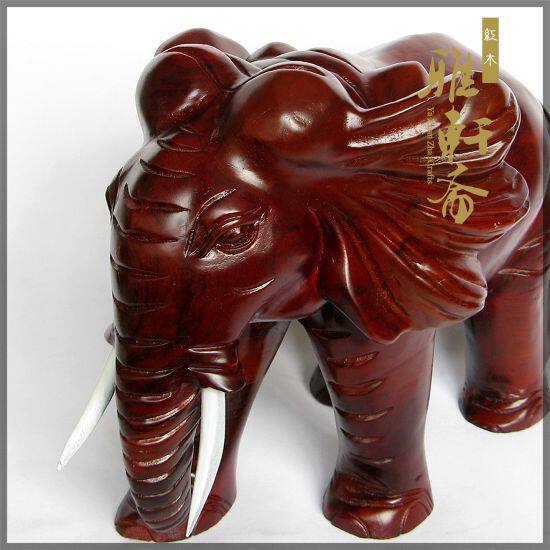 ����ի��ľ����ڼ�