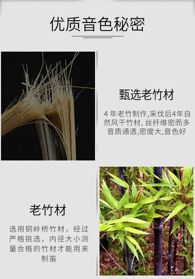 Nhạc cụ sáo Trịnh Yintang thổi sáo Zizhu chơi Zizhu đồng C giai điệu - Nhạc cụ dân tộc mua đàn tỳ bà