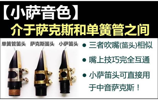 Xiao Sa Nhạc cụ đơn giản Saxophone 8 lỗ 11 lỗ Mini Saxophone Drop E Tune Pocket Cụ dành cho người lớn - Nhạc cụ phương Tây đàn harmonica