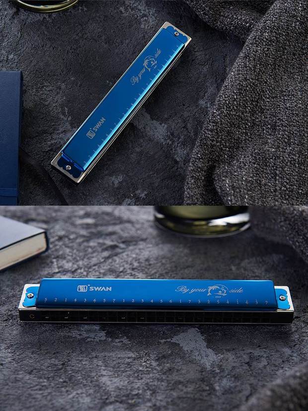 Swan Harmonica 24 lỗ người lớn trẻ em học sinh mới bắt đầu nam và nữ đa âm c giai điệu cạnh tranh nhạc cụ piano - Nhạc cụ phương Tây