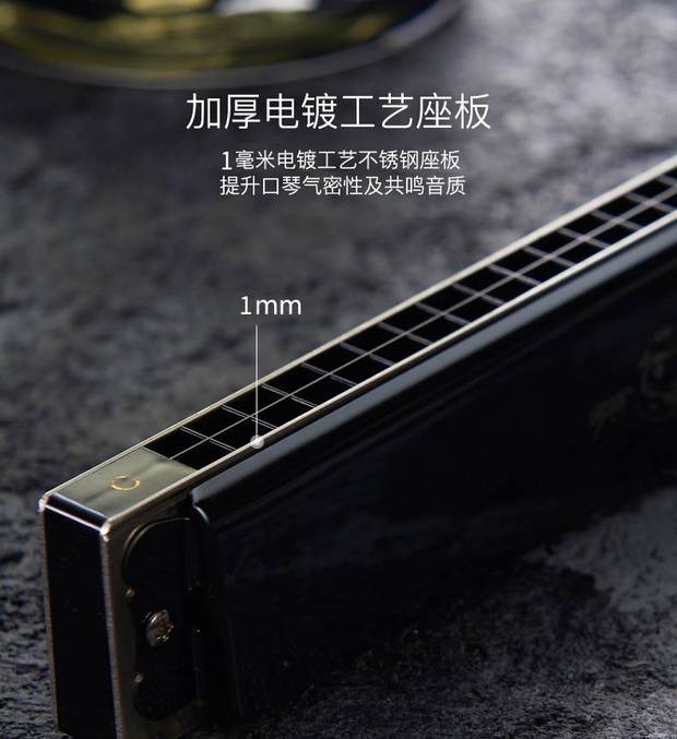 Swan Harmonica 24 lỗ người lớn trẻ em học sinh mới bắt đầu nam và nữ đa âm c giai điệu cạnh tranh nhạc cụ piano - Nhạc cụ phương Tây