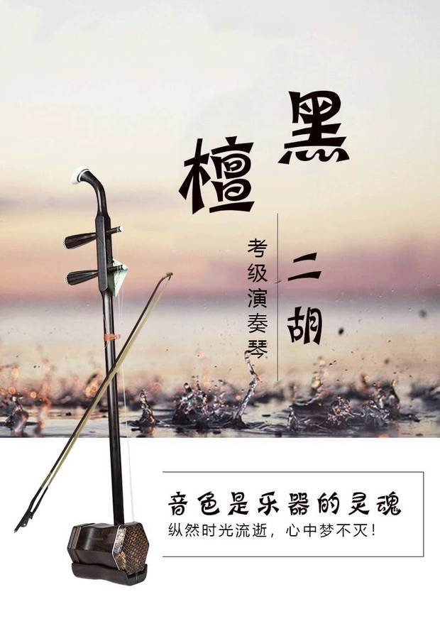 Zhengyintang Erhu Nhạc cụ Ebony Ebony Boutique Giảm 200 Ebony Boutique Erhu - Nhạc cụ dân tộc