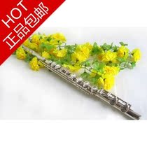 Punch 5 drill exit grade fine C tone 16 holes plus E key long flute instrument big gift bag  