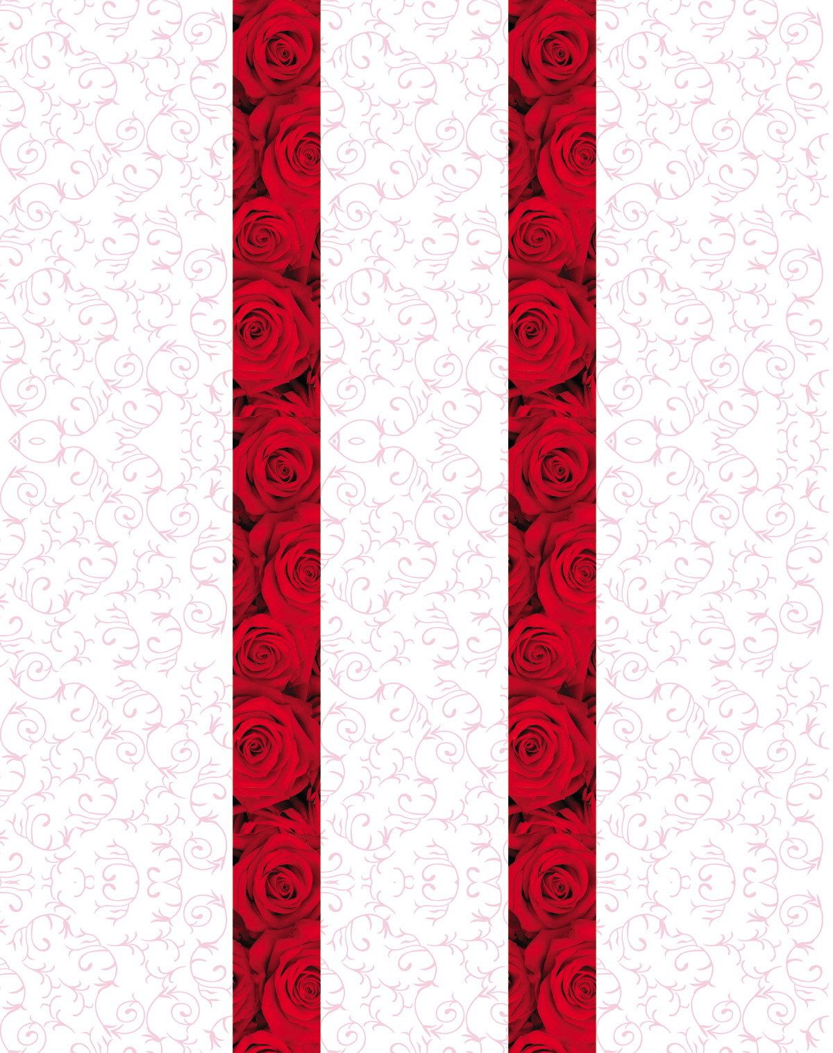 ������ҵ��þ���Ͻ�ֻ�������ӡд����������sg782