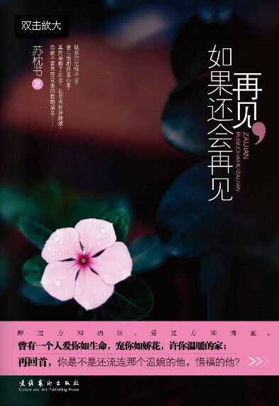 Bye bye if it's still going to be goodbye (Subpillow Book is)