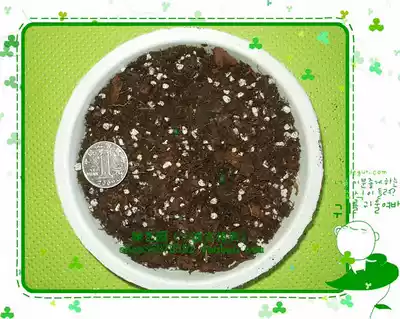 Imported peat perlite pine scale mixed planting rose rose hydrangea soil 3 liters of transplanted soil containing imported slow release