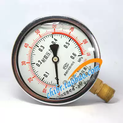Hongsheng Instrument YN-100 Radial Seismic Pressure Gauge YTN-100 Vibration Pressure Gauge 0-0 6MPA