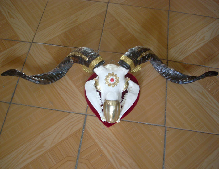 Tibet Goat's Head Craft Gift Swing Trim Angle 90 cm