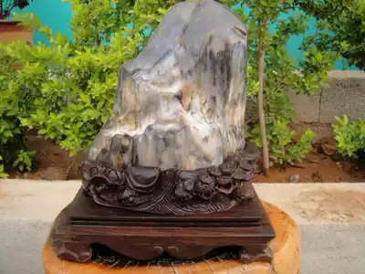 Huashan Xiongzi Blue Ink Tree Fossils Woodized Jade Living Room New House Shop ornaments 91949#(Mountain Xiqi Gallery)