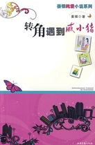 Встреча Ци Сяочжу на углу серия любовных романов Цзян Иньчуня