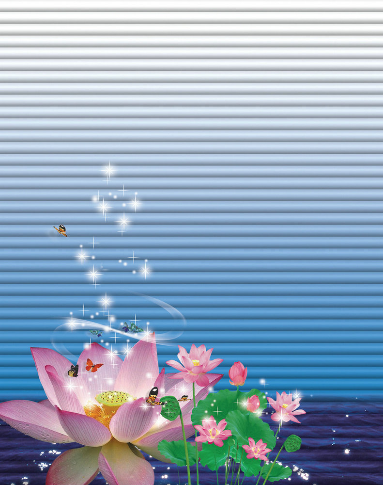������ҵ��þ���Ͻ�ֻ�������ӡд����������sz020