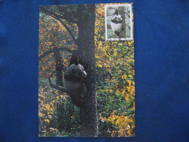 1989 Hong Kong Version 2000-3 Giant Panda Extreme Film