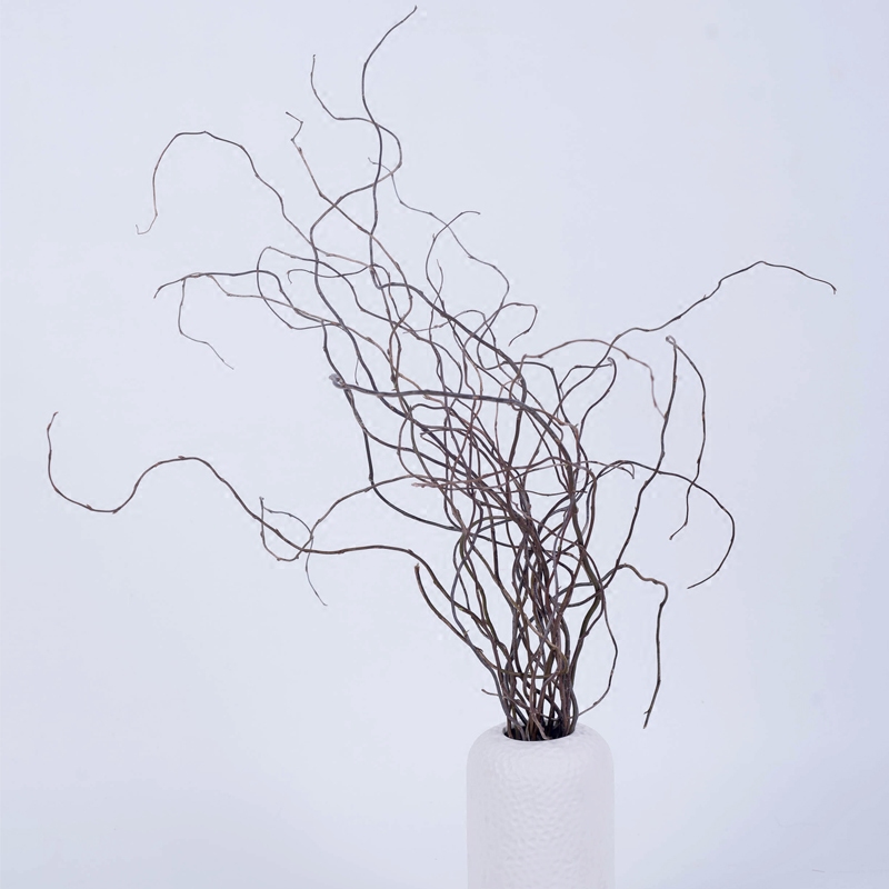 (Longlyu) Nature Home Decoration Furnishing Art Drying Flowers Dry Branches Branches Shooting Props Dragon Willow Branches