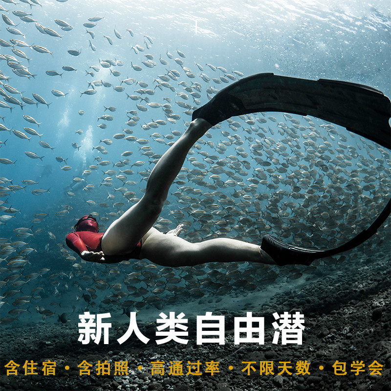 Free Diving Examination Free Diving Course Thai Tao Dao Diving Examination Certificate Free Diving AIDA Chinese teaching
