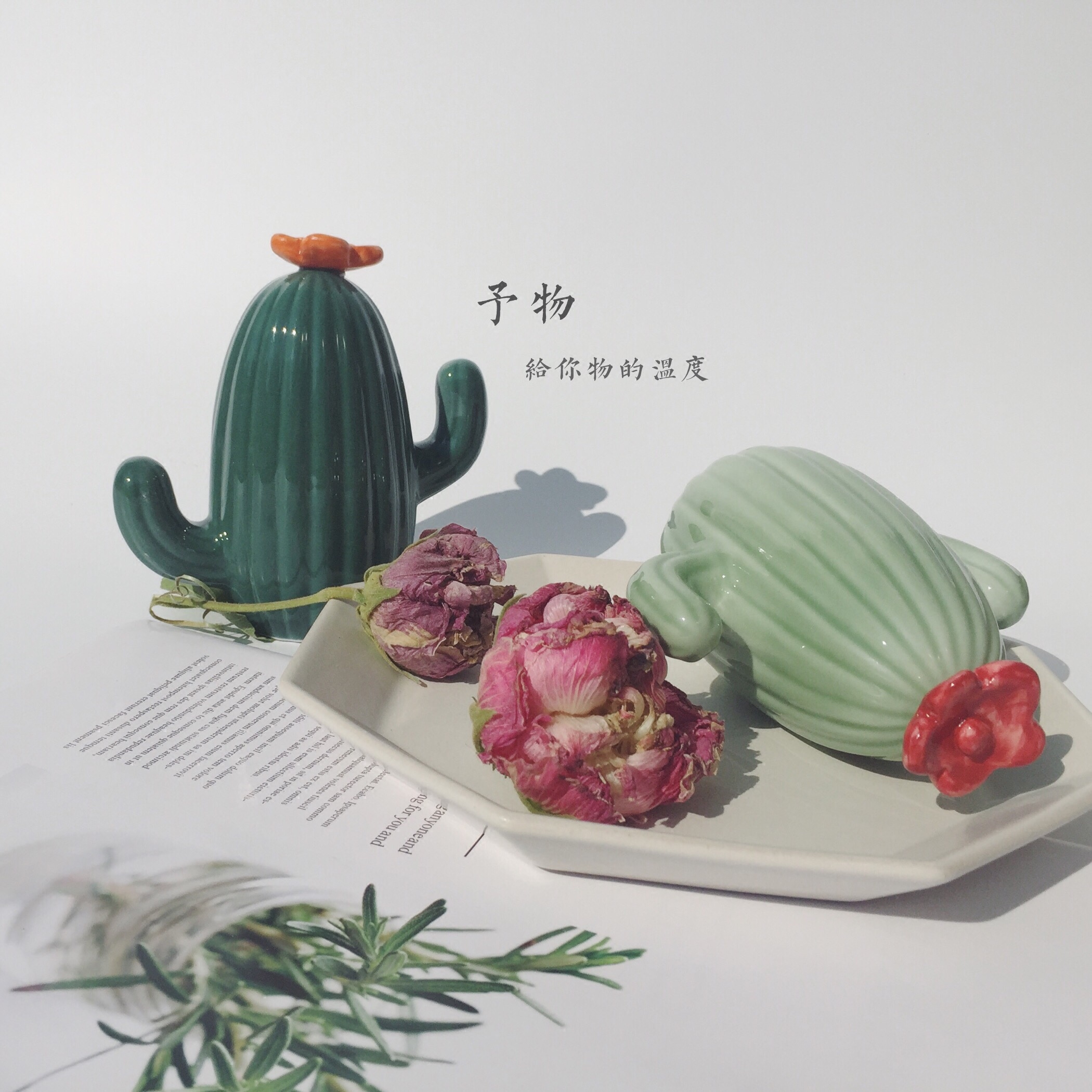Yuwu) handmade ceramic cactus piggy bank Cornetto meat creative Nordic literature and art simple ceramic decoration