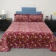 Hàn Quốc flannel ba mảnh giường bìa dày ấm áp mùa đông bông thảm vải nhung san hô chăn bông - Trải giường