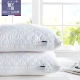 Một cặp váy cảm giác ông rửa sạch bông gối người lớn gối bảo vệ cổ chân nhung lông khách sạn gối sinh viên độc thân - Gối
