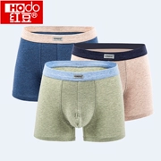 Đồ lót cotton màu đỏ đậu nam cotton boxer thanh niên 100% cotton thoáng khí thoải mái trung niên quần bốn quý