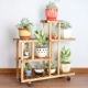Hoa đứng vững chắc sàn gỗ loại phòng khách nhà trong nhà ban công ngưỡng cửa nhiều lớp cây cảnh khung thịt xanh kệ lưu trữ - Kệ kệ sách treo tường mini Kệ