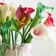 PU mini tay calla lily hoa nụ hoa giả hoa trang trí hoa giả trang trí nhà hoa bình hoa trang trí - Trang trí nội thất trang trí nhà đẹp Trang trí nội thất