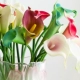 PU mini tay calla lily hoa nụ hoa giả hoa trang trí hoa giả trang trí nhà hoa bình hoa trang trí - Trang trí nội thất