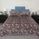 Hàn Quốc flannel ba mảnh giường bìa dày ấm áp mùa đông bông thảm vải nhung san hô chăn bông - Trải giường