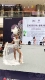 Cô gái Đồ bơi Giai đoạn Catwalk Bikini Wei Mi Cánh Xe Mô hình T Đài Loan Lông trắng Trẻ em Phù hợp với Sáng tạo