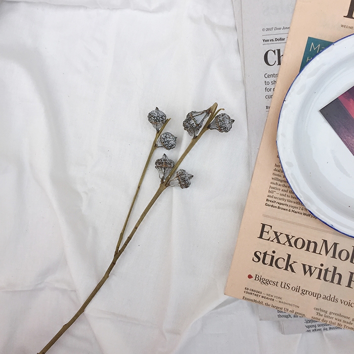 In North Korea, North European wind natural hundred and Yugaligo dry flowers photography props background decoration