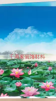 Double 12 years not on the new crystal steel film overall cabinet door waist line self-mucous membrane Lotus Pond beauty