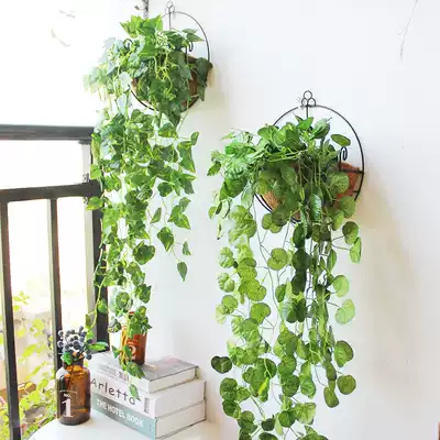 Simulation green leaf wall decoration flower wall hanging flower basket hanging small basket living room wall decoration fake golden kudzu plant