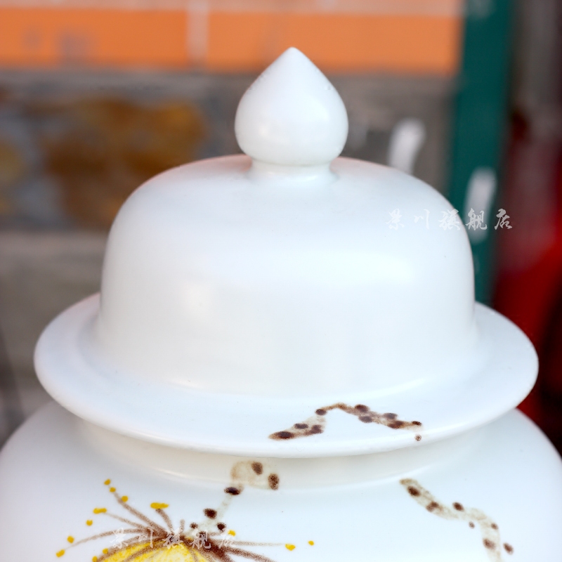 Jingdezhen ceramics is pure and fresh and contracted hand - made lotus vase general jar of home sitting room study office furnishing articles