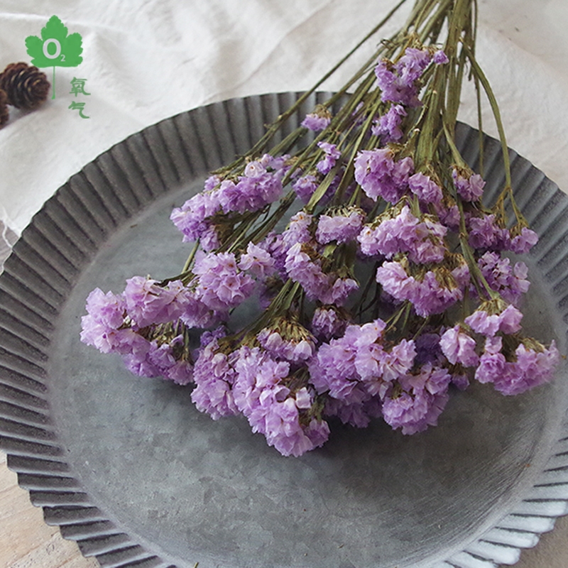 (Excellent grade Forget-me-not)Living room decoration dried flower bouquet Home furnishings White light purple Forget-me-not dried flowers
