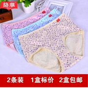 2 hộp đồ lót nữ Luohua cotton Lycra cotton 2693 eo cao đơn giản thoải mái thoáng khí boyshort nhỏ