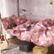 Ins phong cách Hàn Quốc cô gái đỏ bốn mảnh set 3 tấm chăn che bộ đồ giường 1,8m sinh viên độc thân ký túc xá ba mảnh