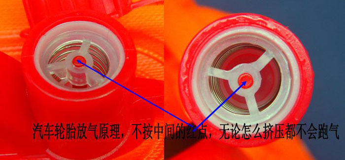 Sac de sport - Ref 12802 Image 13