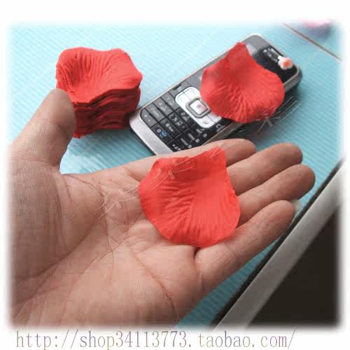 Bougie - Ref 2494159 Image 27