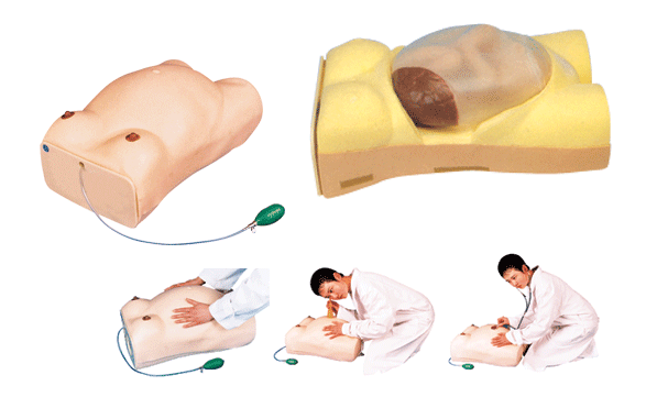 高级电脑孕妇检查模型,电子孕妇腹部触诊模型