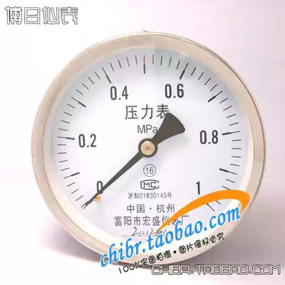 Gas Pressure Gauge Pressure Gauge Y-100Z Axial Pressure Gauge Panel Pressure Gauge