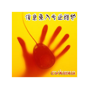 Website information entry information Add to update website Baumonth Maintenance information Maintenance information Entry