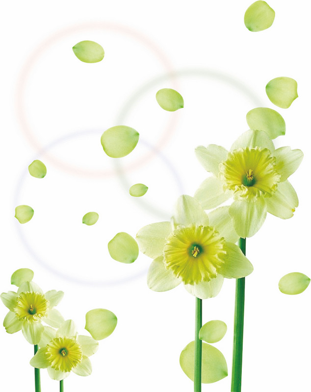 ������ҵ��þ���Ͻ�ֻ�������ӡд����������sg361