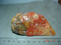 534 Shanshan Colored Jade