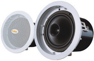 Ruifeng LAX CUE26C professional Full Frequency top speaker brand new licensed