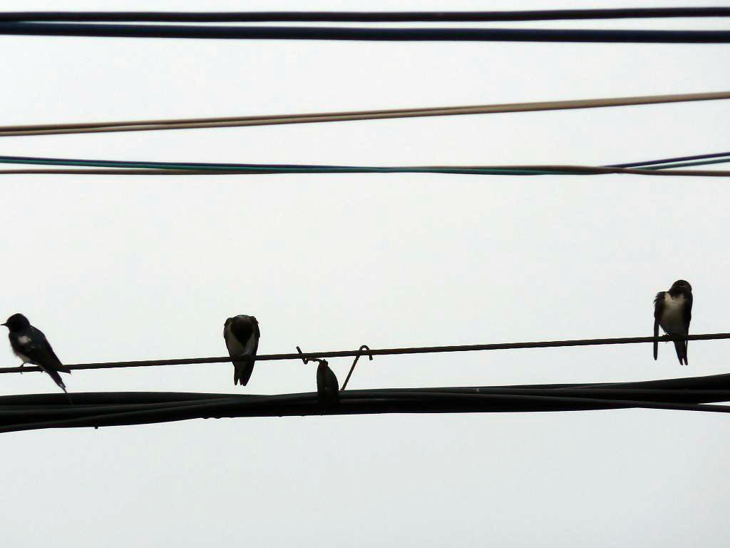 (Jin Chengfa)Evening scenery photo one jpg format please download from one dollar