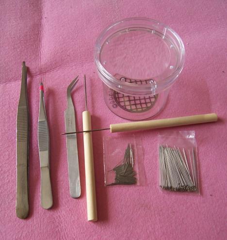 Insect specimen making tool set anatomical forceps anatomical needle insect needle microneedle observation bottle] can be invoiced