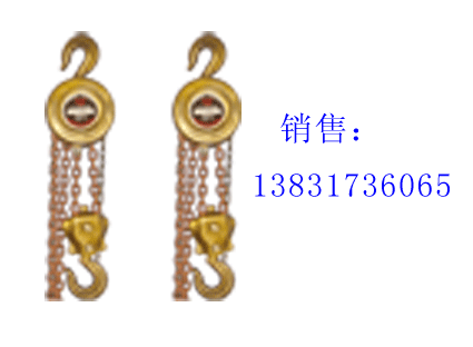 Explosion-proof pull-proof lifting equipment explosion-proof inverted chain 2T* 3 m 2T* 6 m