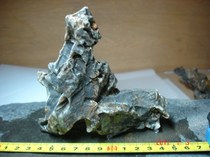 38 Lop Nur Fengling Stone