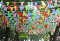 Small string flags decorative flags triangular flags multi-colored flags 70 meters per pack triangular string flags