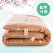 Đôi đệm tatami giường dày nệm nệm tấm pad người ký túc xá 1.2 m 1.5 1.8m - Nệm