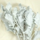 Bạc lá hoa cúc handmade vòng hoa vương miện tự làm chất liệu bó hoa cưới phụ kiện cao cấp phù hợp với lá - Phụ kiện tóc phụ kiện tóc cô dâu Phụ kiện tóc